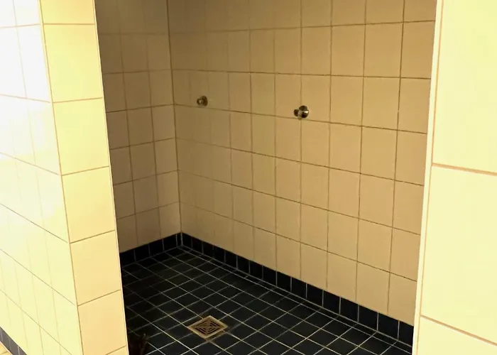 Ferien-whg Albatros Direkt Am Steinhuder-meer, Mit Meerblick Und Parkplatz