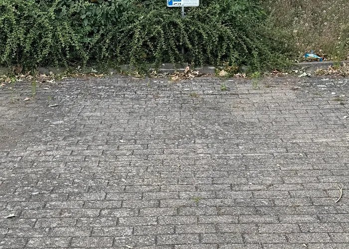 Apartmán Ferien-whg Albatros Direkt Am Steinhuder-meer, Mit Meerblick Und Parkplatz *